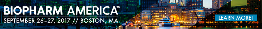BPA17_Banners_newlogo_900x100