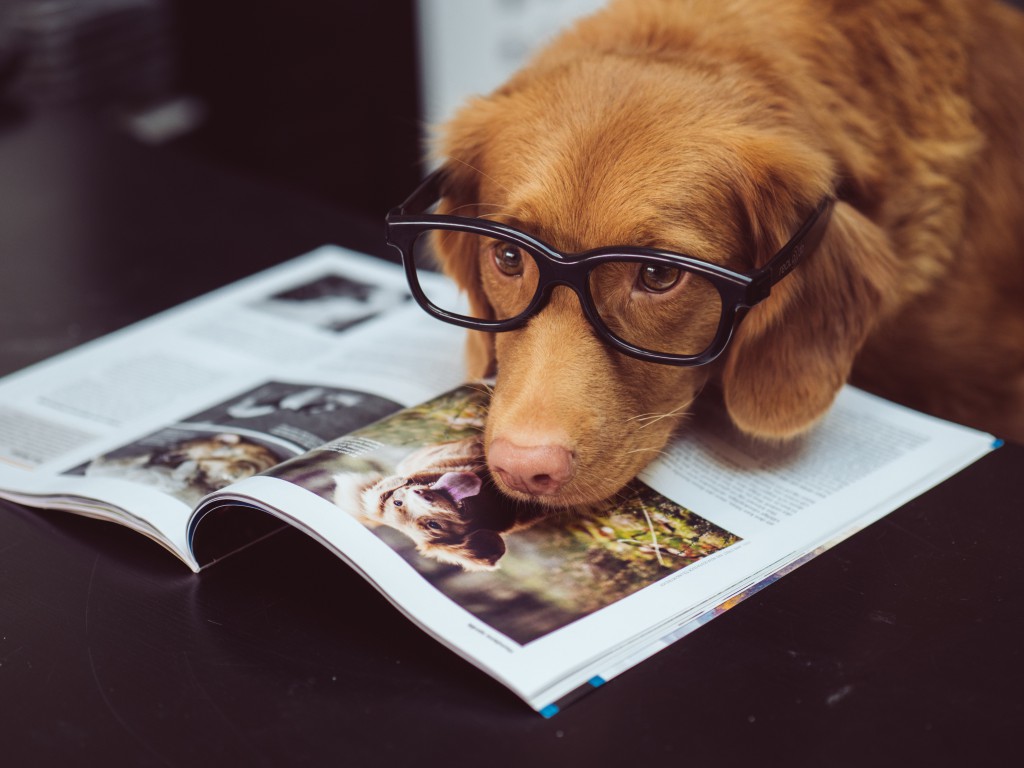 jamie-street-804226-unsplash