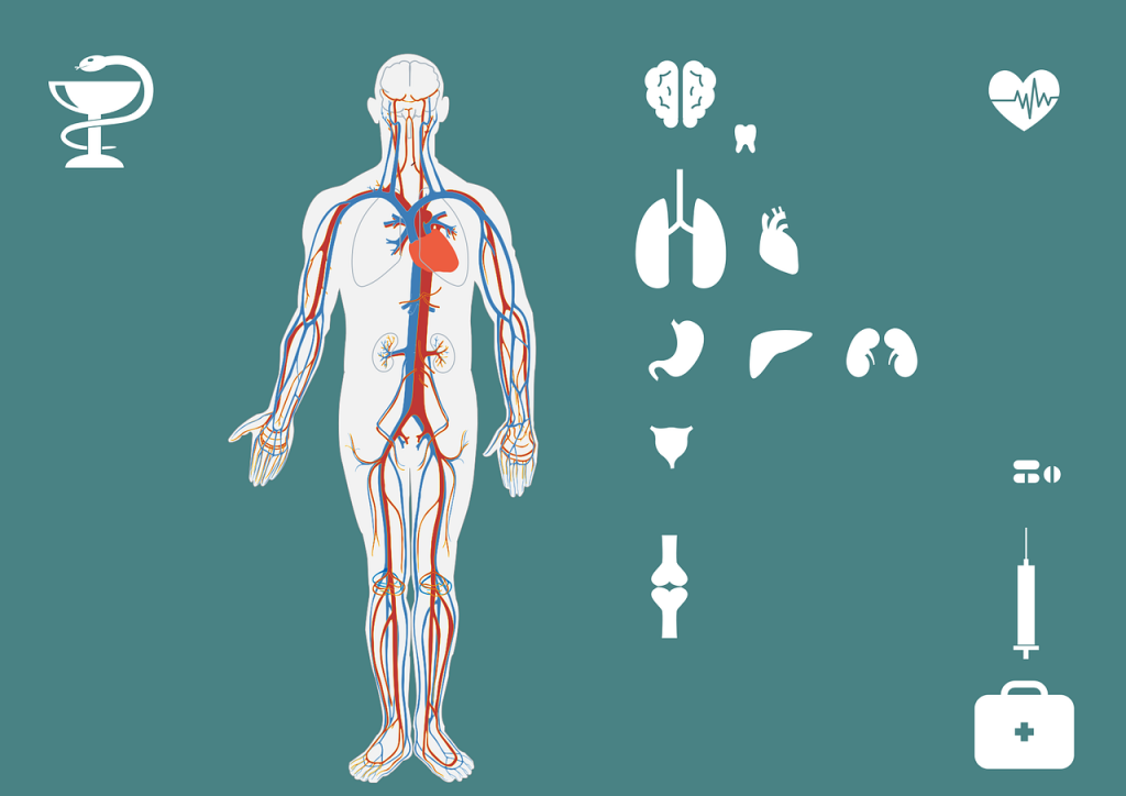 CT-Scan-Lung-Medical-Device