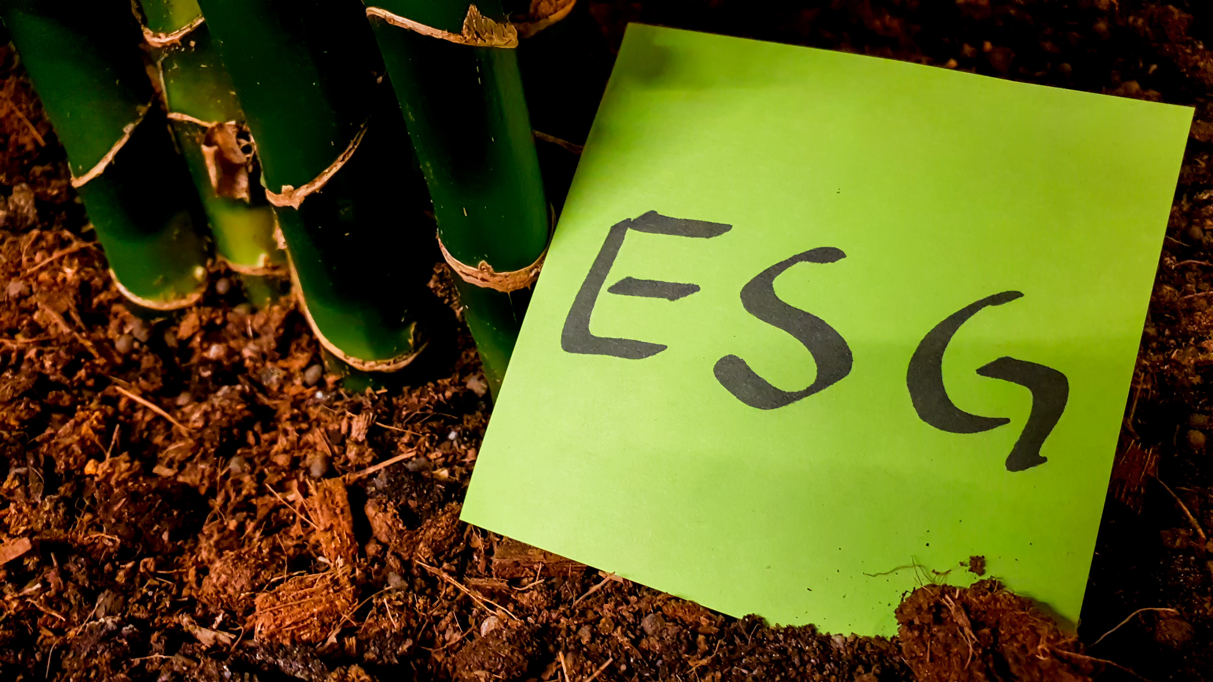Justin Elks, Managing Director, Crowe: ESG: The growing challenge and opportunity