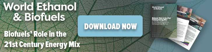 Biofuels' Role in the 21st Century Energy Mix Whitepaper