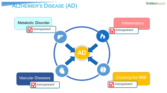hocena-from-golden-biotech-might-shed-some-hopeful-light-for-patients-with-alzheimers-disease